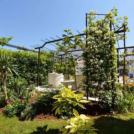 Apartament Silvia By Interhome Pula